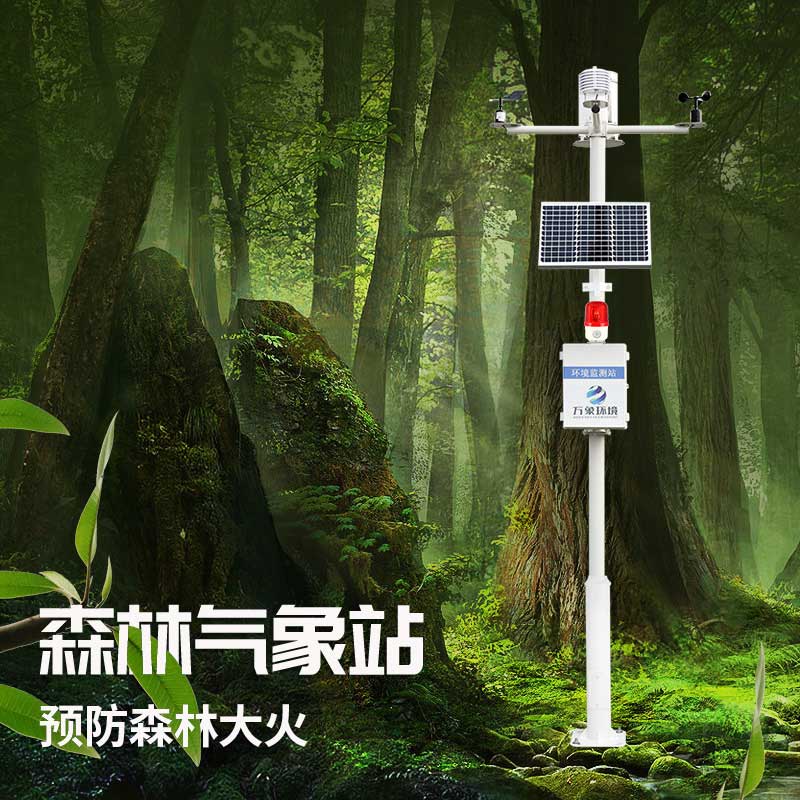 森林防火監(jiān)測系統(tǒng)為保護森林做了哪些努力？